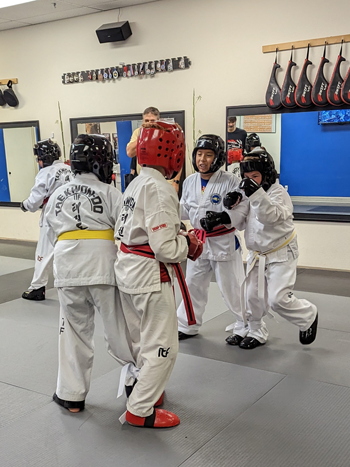 Taekwondo_three_legged_sparring